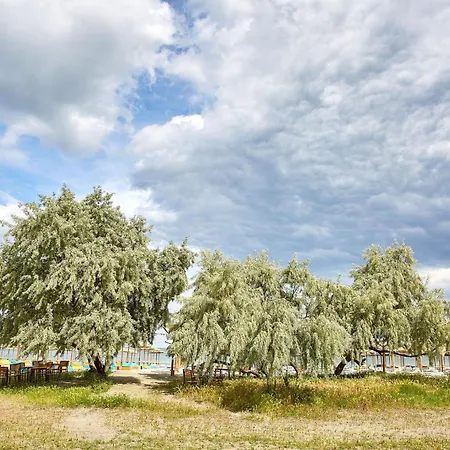 Tesoro By Infinity Alz