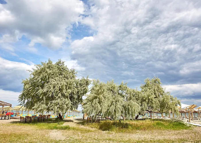 Tesoro By Infinity Alz